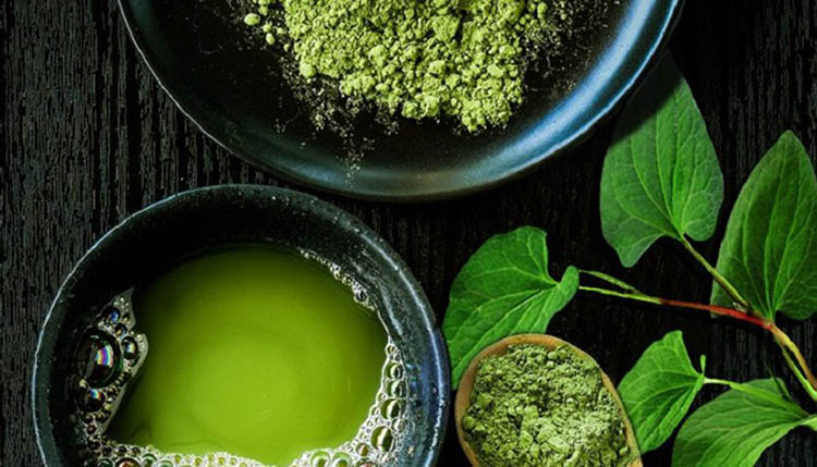 Trị mụn ẩn bằng rau diếp cá
