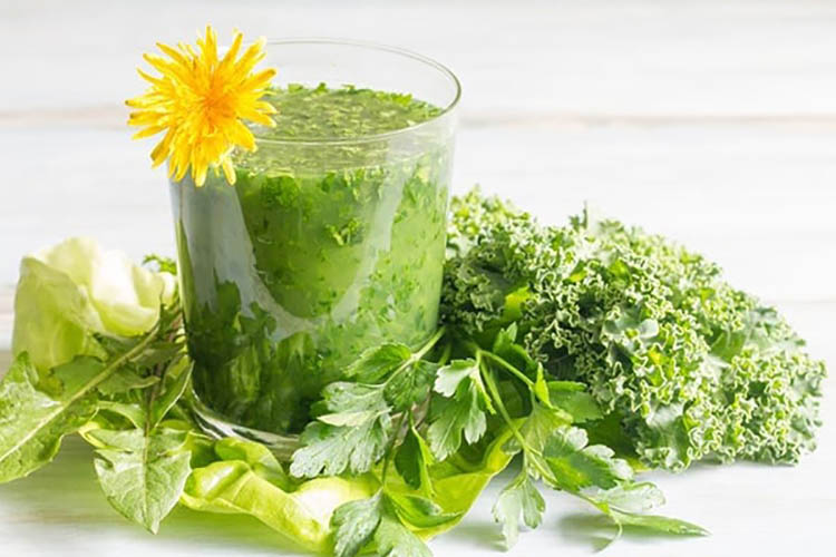 Bồ công anh có vị đắng, tính mát, có tác dụng thanh nhiệt, giải độc 